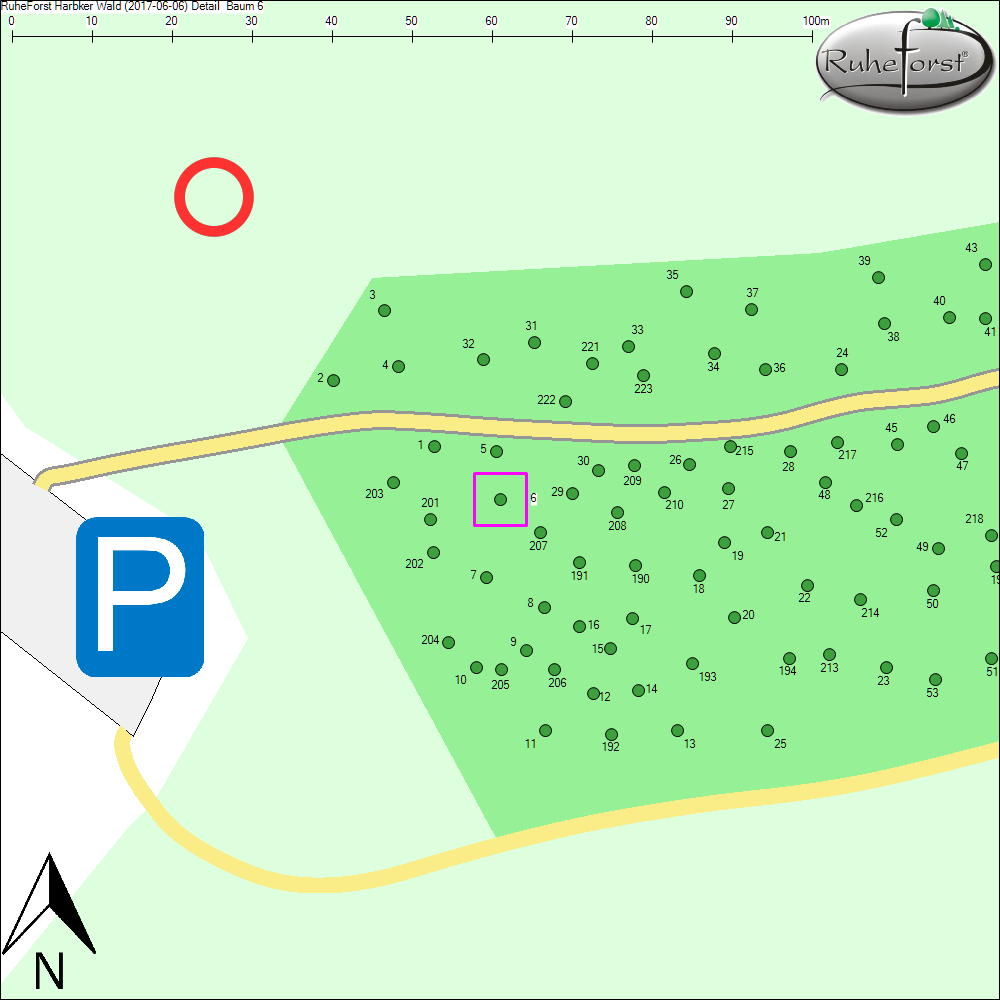Detailkarte zu Baum 6