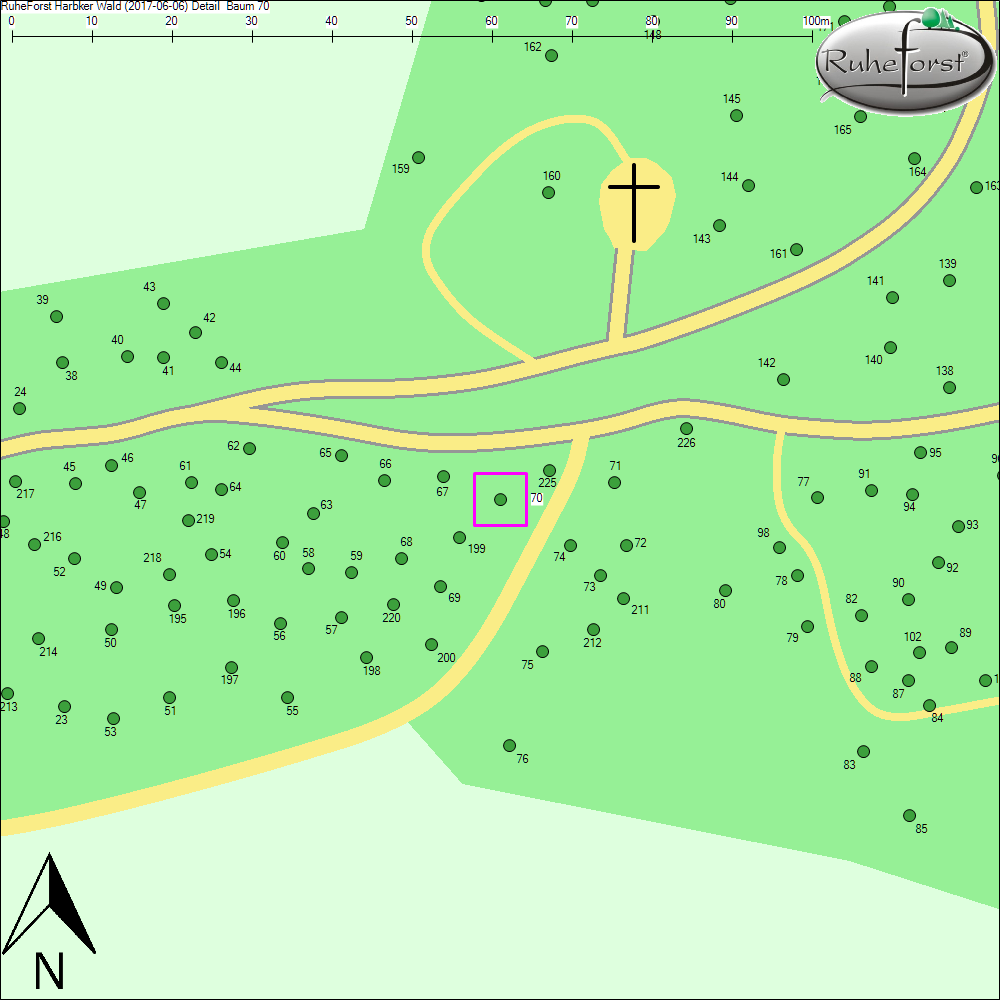 Detailkarte zu Baum 70