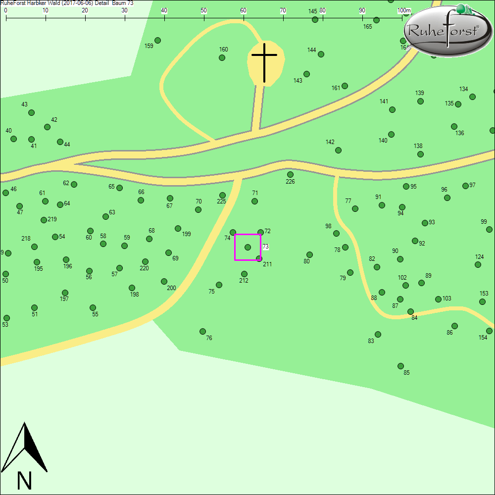 Detailkarte zu Baum 73