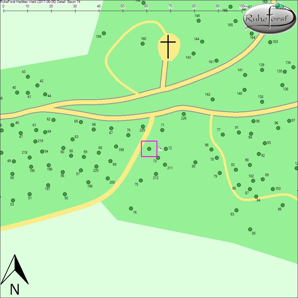Detailkarte zu Baum 74