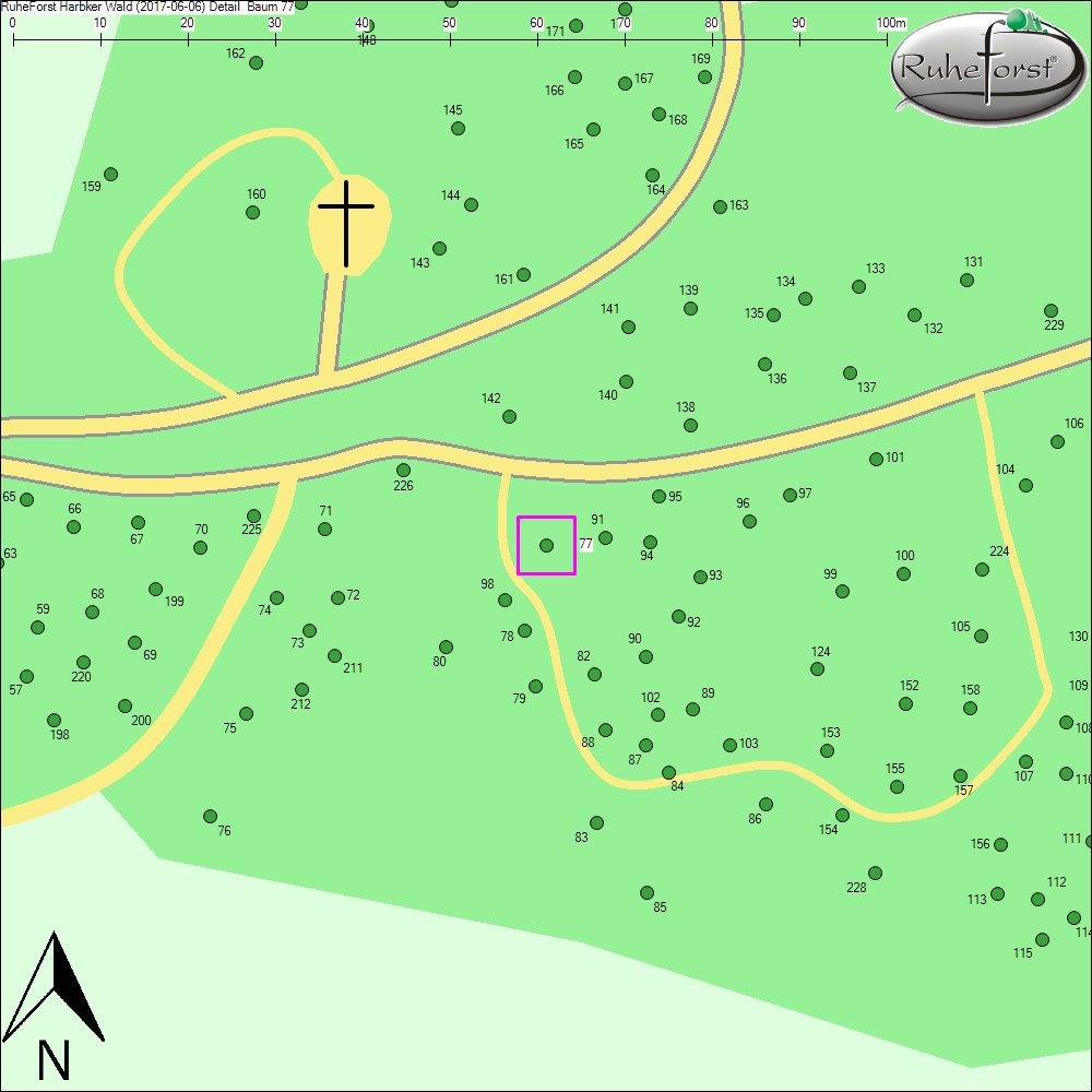 Detailkarte zu Baum 77