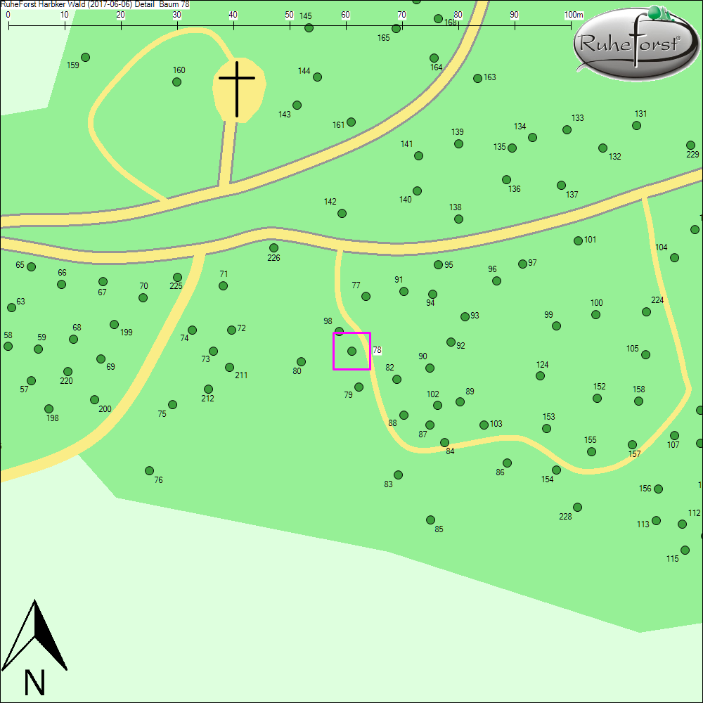 Detailkarte zu Baum 78