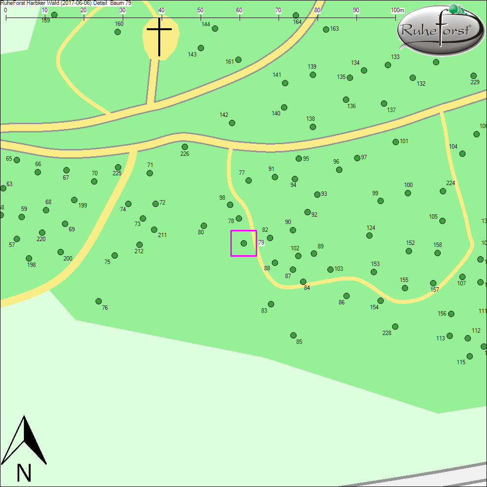 Detailkarte zu Baum 79
