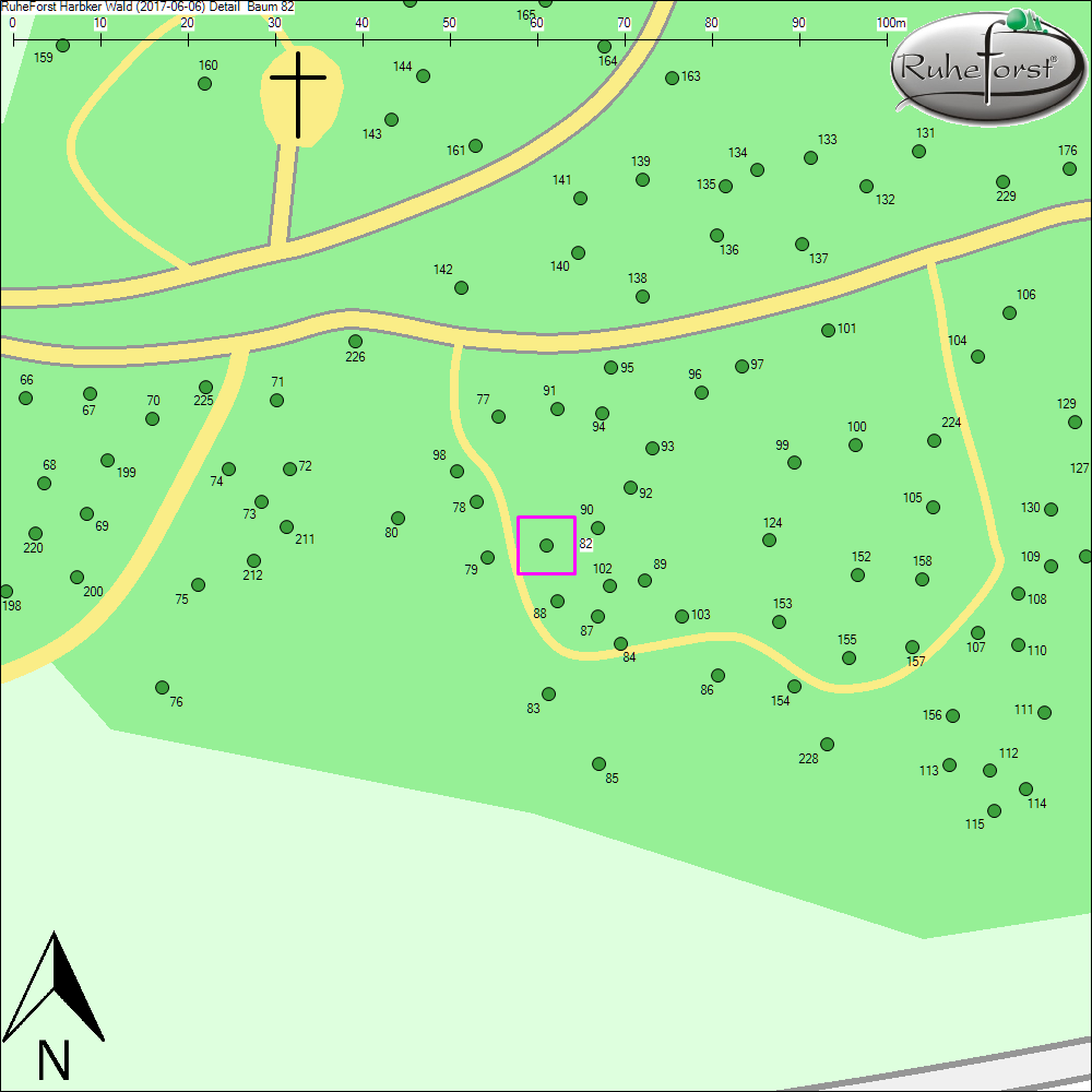 Detailkarte zu Baum 82