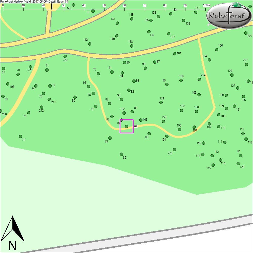 Detailkarte zu Baum 84
