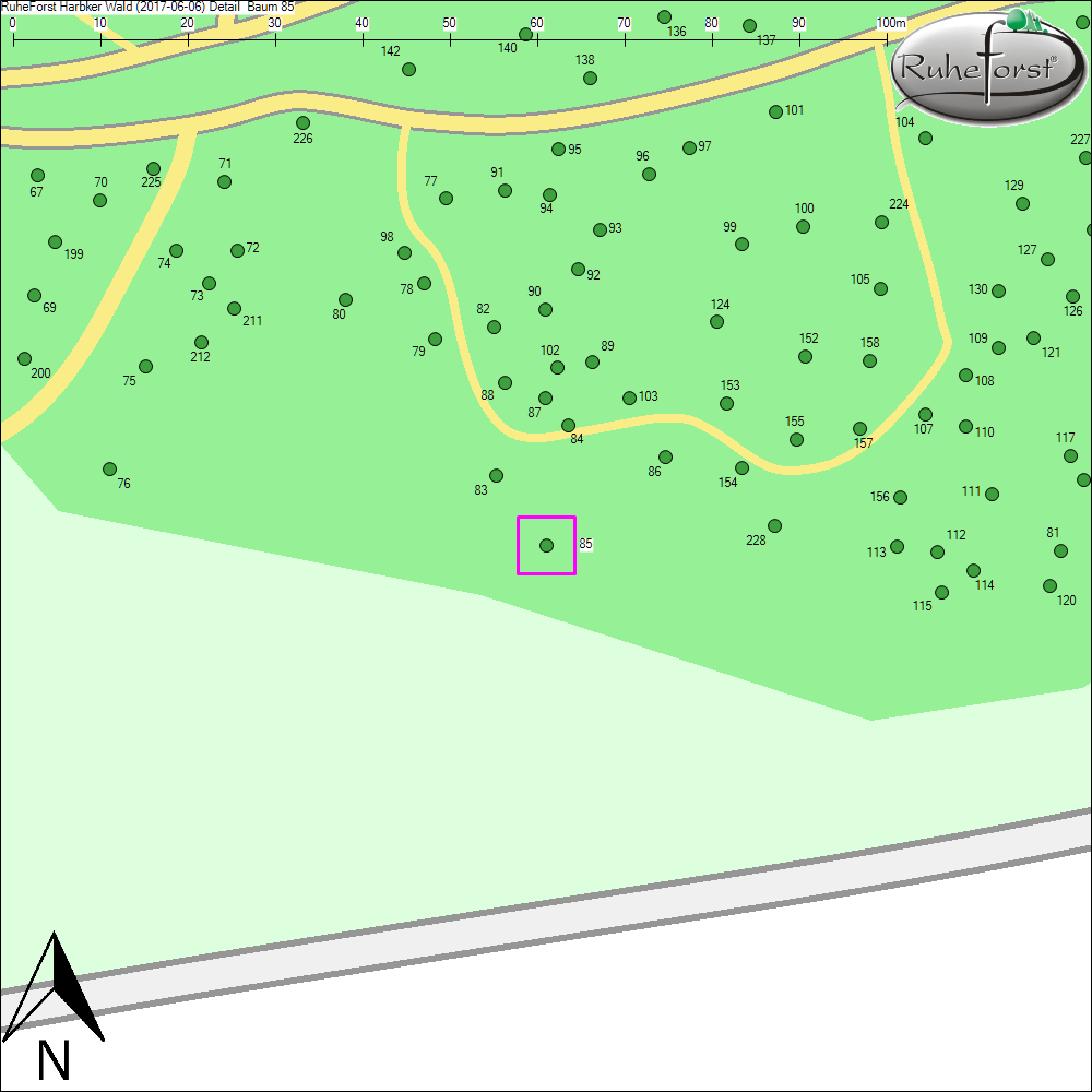 Detailkarte zu Baum 85