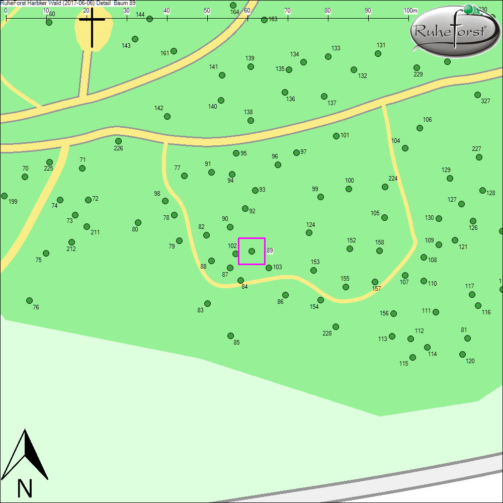 Detailkarte zu Baum 89