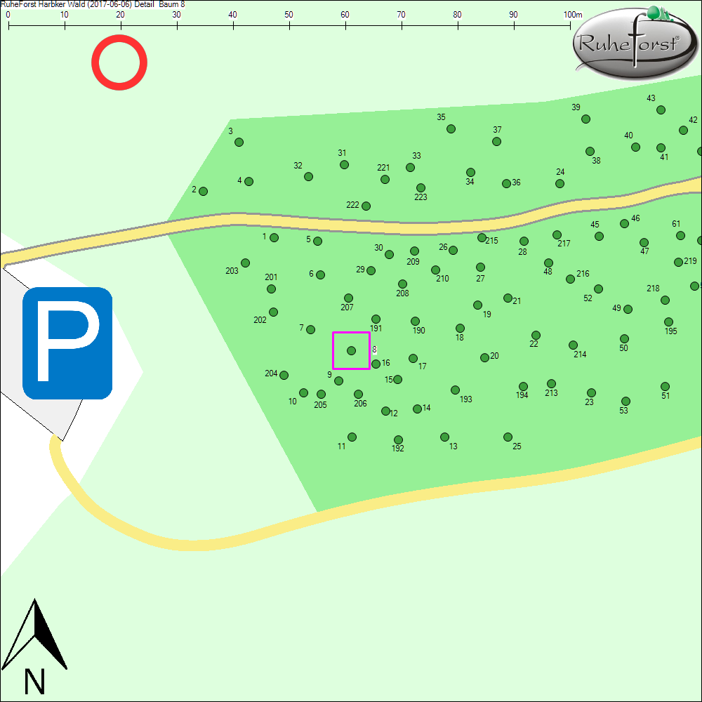 Detailkarte zu Baum 8