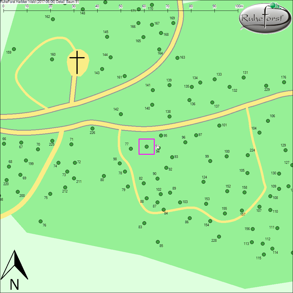 Detailkarte zu Baum 91