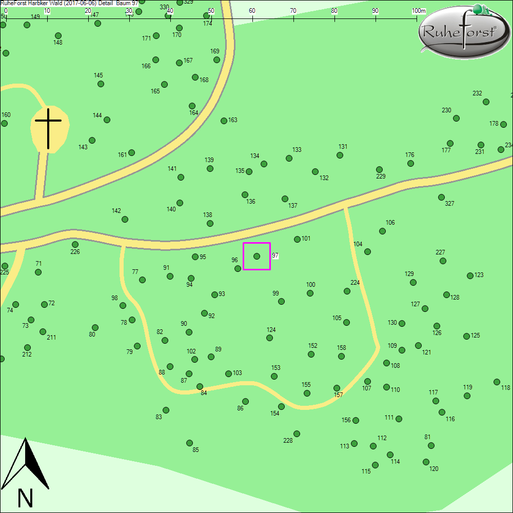 Detailkarte zu Baum 97