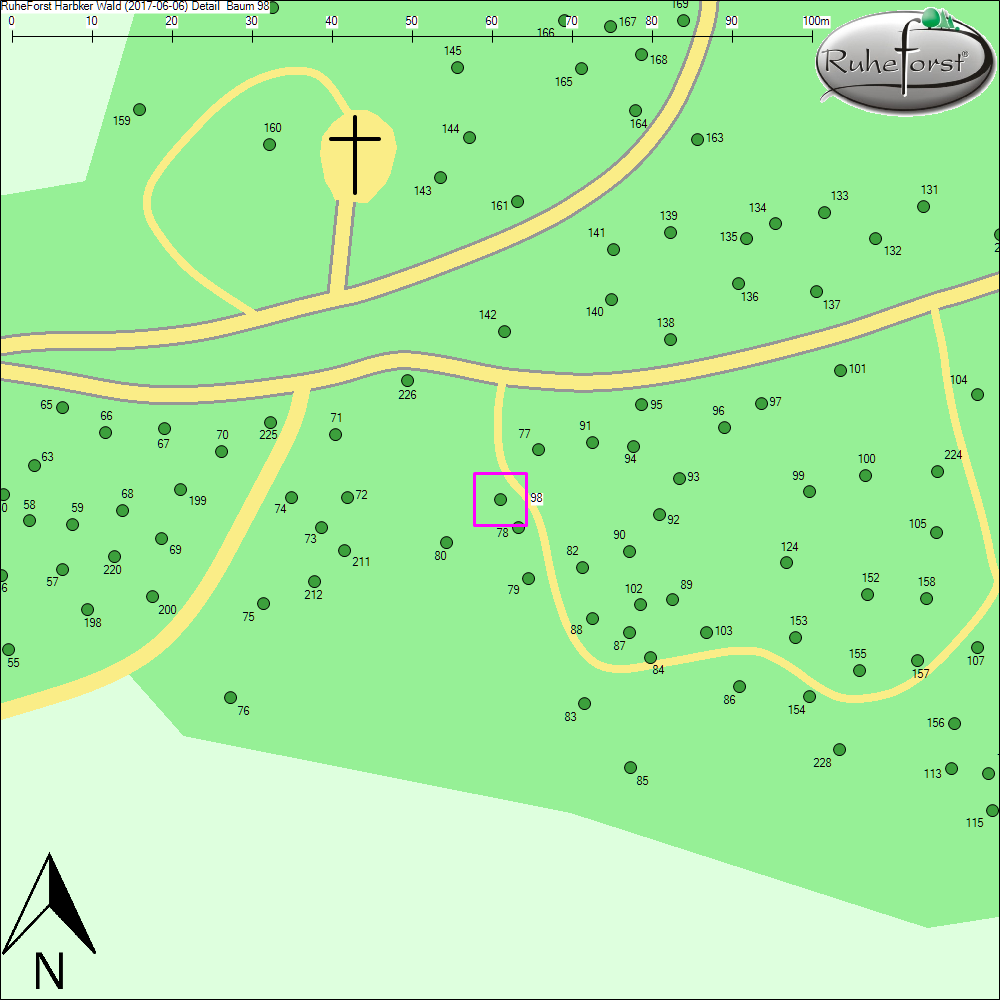 Detailkarte zu Baum 98