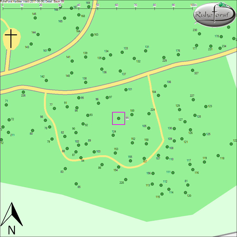 Detailkarte zu Baum 99