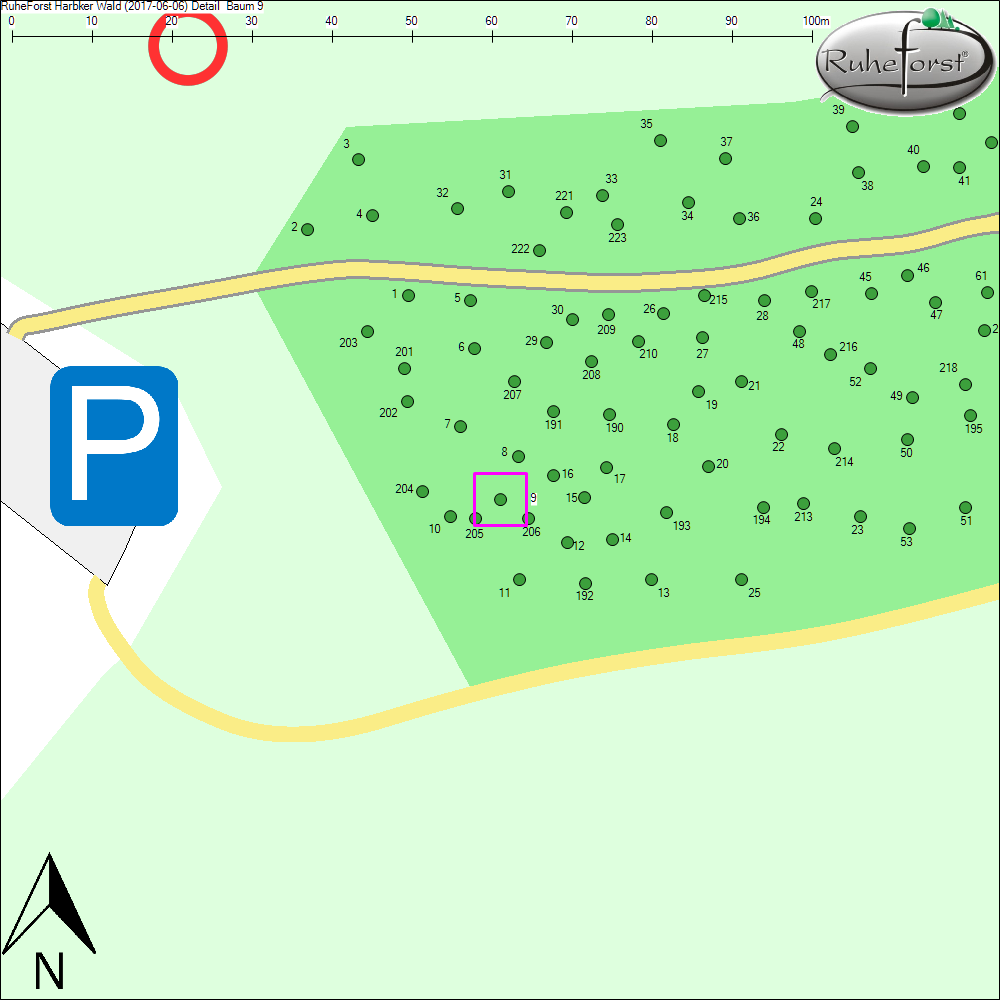 Detailkarte zu Baum 9